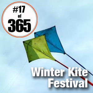 Day 17 of 365 Lake Harriet Winter Kite Fest #365TC