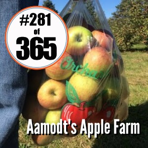 Day 281 of 365 Aamodt's Apple Farm #365TC