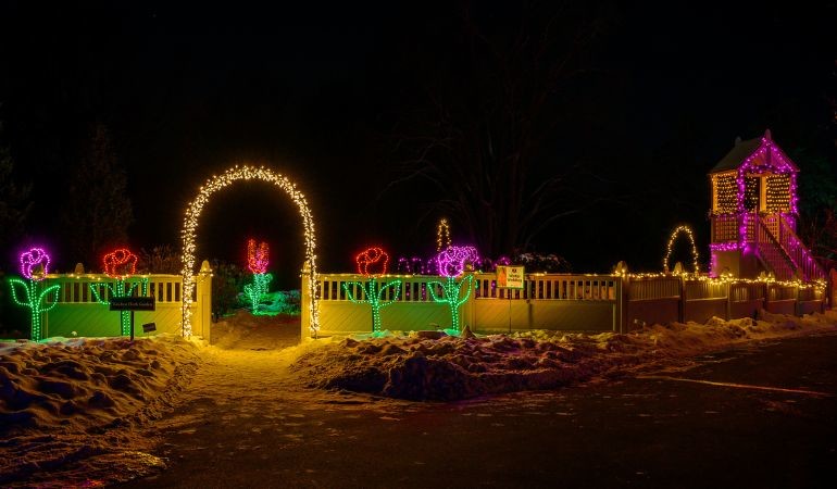 Date Nights at Winterlights at the Minnesota Landscape Arboretum