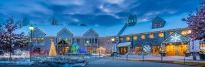 Winterlights at the Minnesota Landscape Arboretum